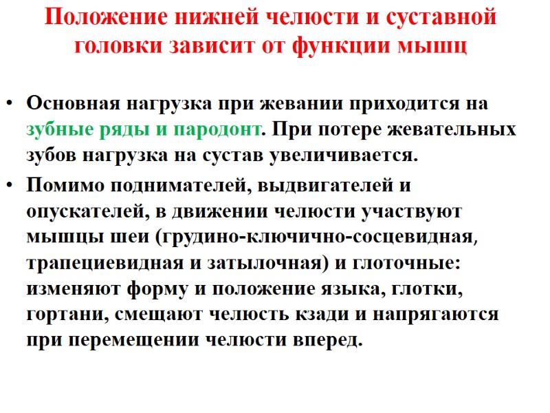 Положение нижней челюсти и суставной головки зависит от функции мышц Основная нагрузка при жевании
